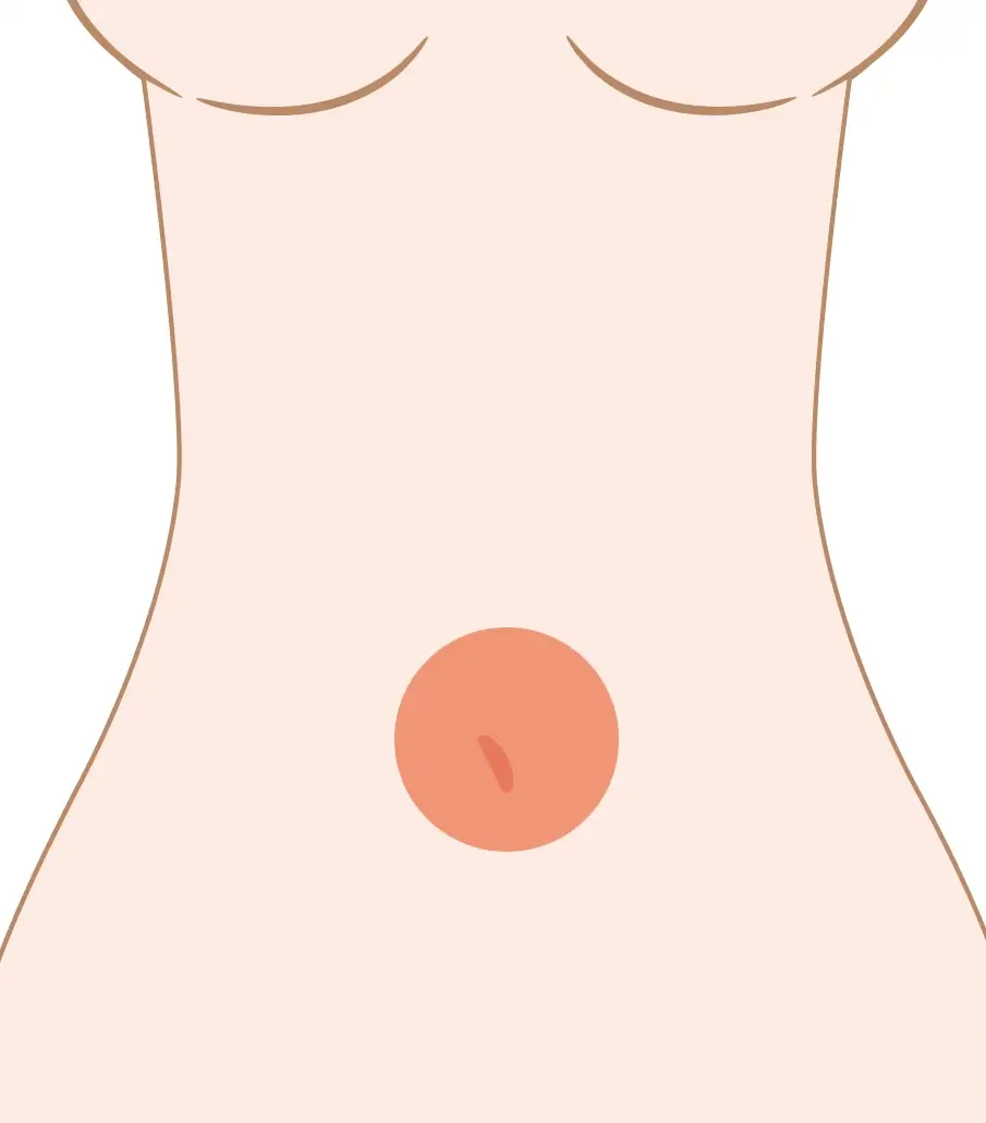 おへそ周り