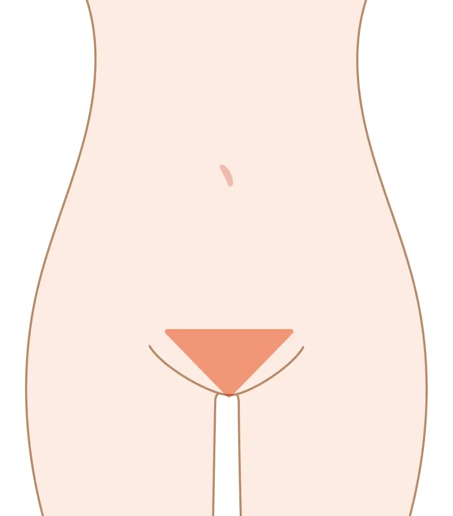 Vライン