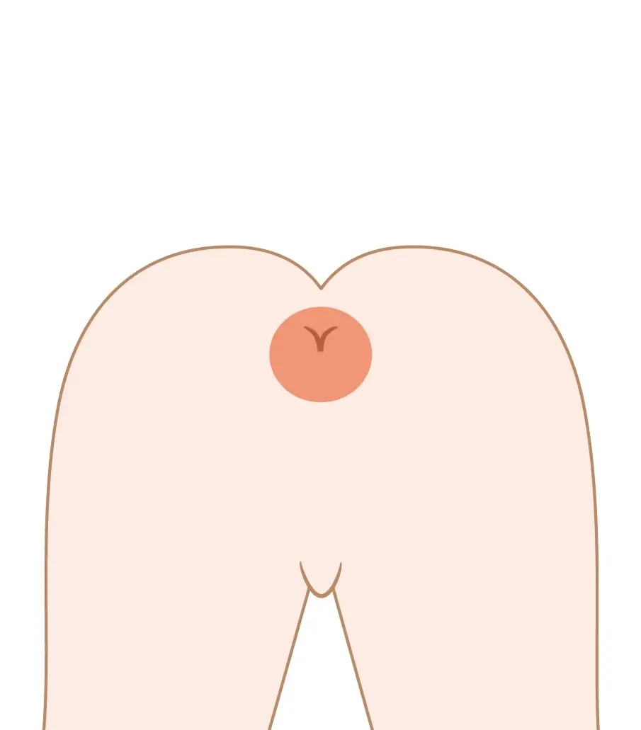 Oライン
