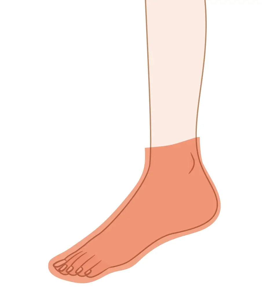 両足の甲・指